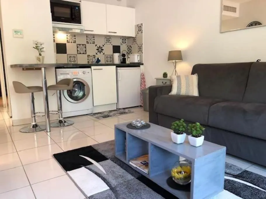 Appartement Centre Modern Terrasse Piscine Parking Cannes Fransa