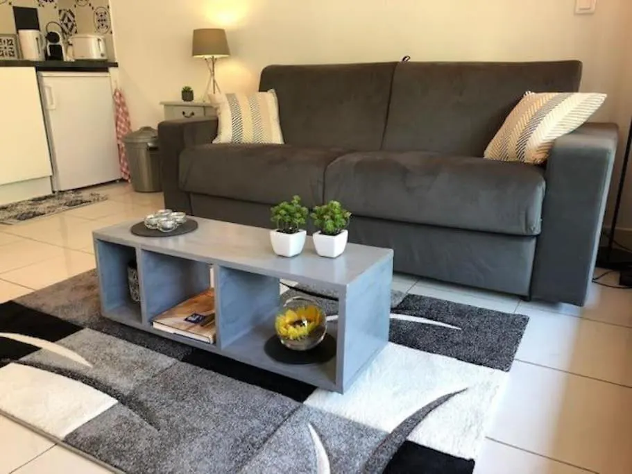 Appartement Centre Modern Terrasse Piscine Parking Cannes Apartment