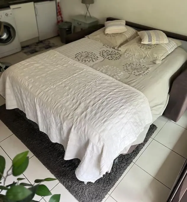 Appartement Centre Modern Terrasse Piscine Parking Cannes Apartment